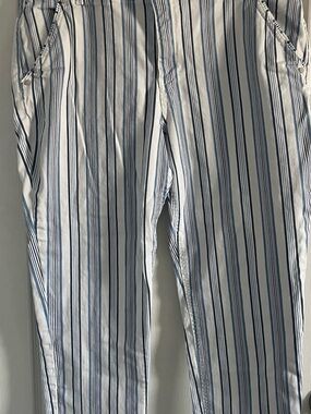 Democracy Women’s Navy and Light Blue Striped Pants Size 16